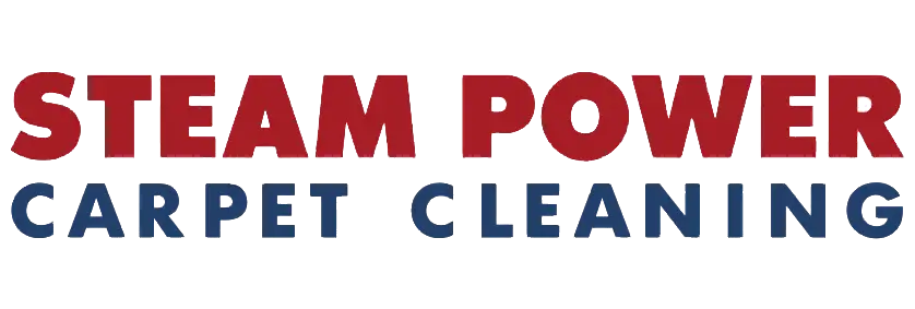 Steam Power Carpet Cleaning logo - just text