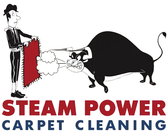 Steam Power Carpet Cleaning logo vertical