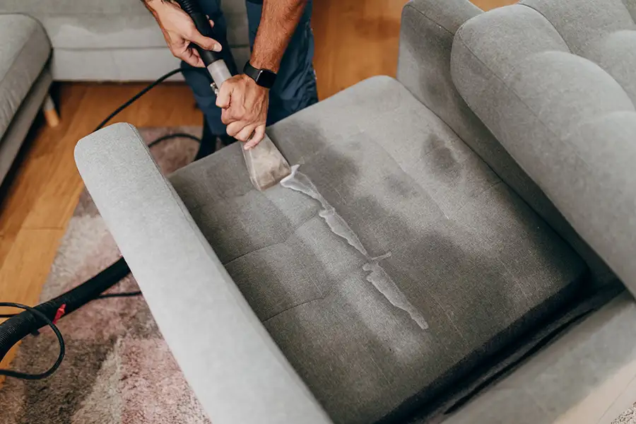 upholstery, furniture cleaning - professional using powerful vacuum and steam to clean couch cushions - Springfield, IL